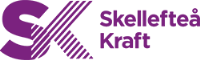 Kundtjänstmedarbetare till Skellefteå kraft i sommar